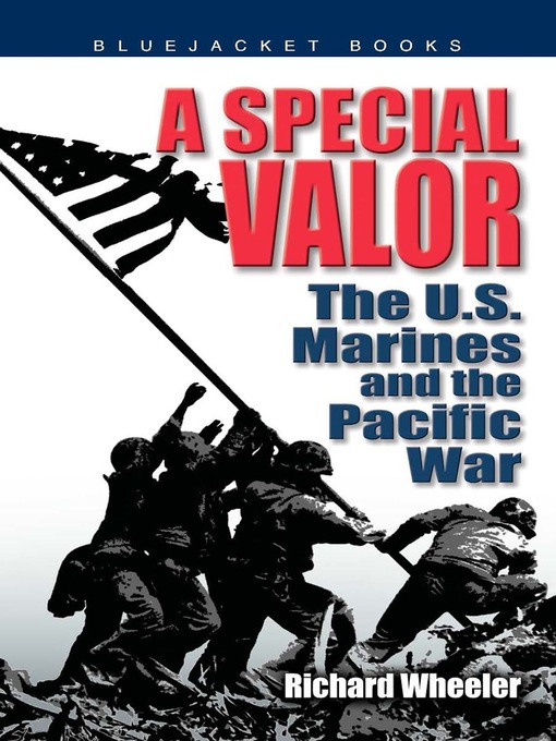 Title details for A Special Valor by Richard Wheeler - Available